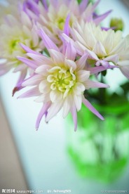 花艺欣赏