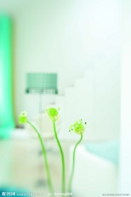 花艺欣赏
