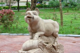 猪石雕