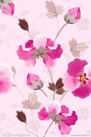 粉红色花朵