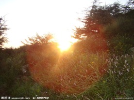 泰山日出