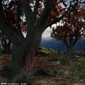 童话世界 枫叶 红叶