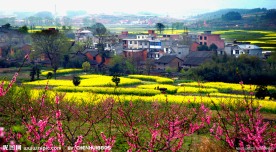 田园风光