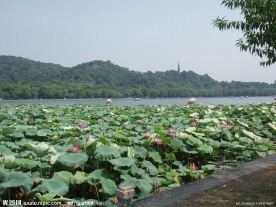 浙江杭州西湖风景