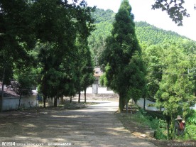 主入口