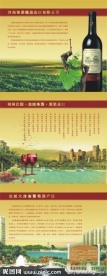 红酒广告