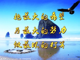 企业文化 大海 水 雁 希望