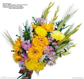 花束