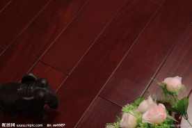 地板 实木地板 地板实景图 大圆弧地板 地板效果图
