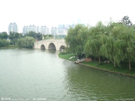腾龙桥远景