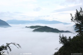 高山云雾