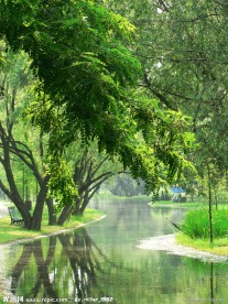 夏日风景