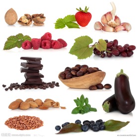 洋葱 粟子 茄瓜 巧克力