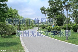 公园小径