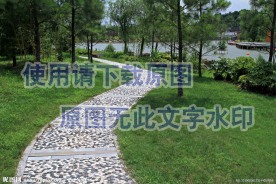 公园小径