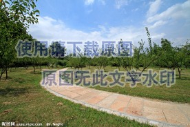 公园小径