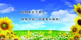 学校展板标语牌