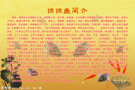 担担鱼简介