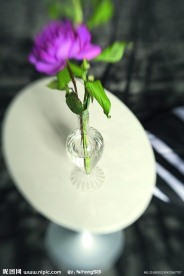 花艺欣赏