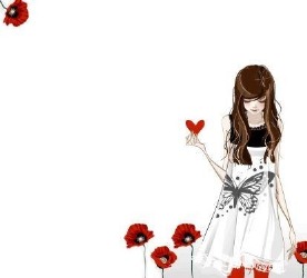 韩版banner 花碟MM