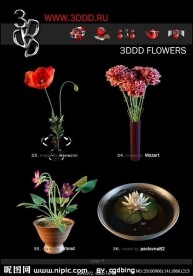 3ddd_Flowers 盆栽花卉max模型