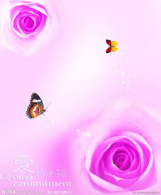 玫瑰花