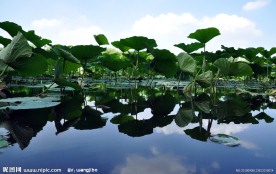 长春南湖公园湖心岛