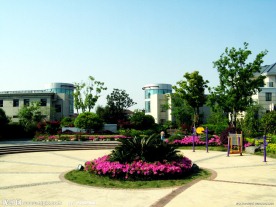小区风景