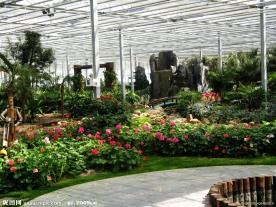 植物园