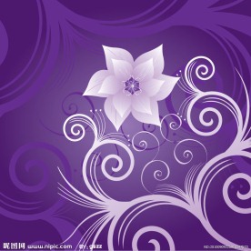 紫罗兰花 花纹