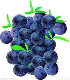黑布林