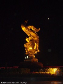 金凤广场的夜晚