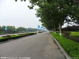 公路小景