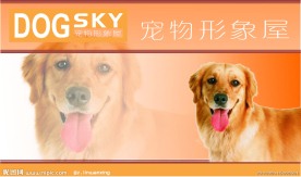 宠物狗