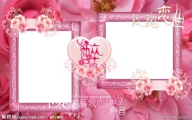 唯美意境 醉玫瑰