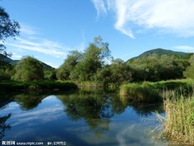湖岸景色