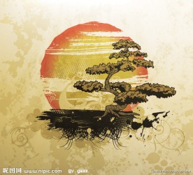 红日和盆花剪影