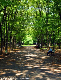 林间小路