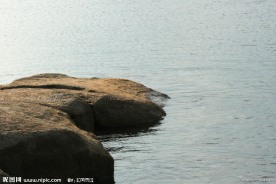 湖岸景色