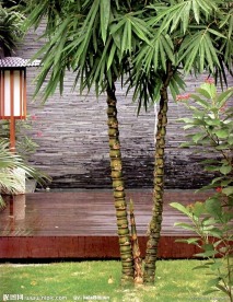 国外旅游绿化景观照片