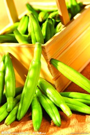 黄花菜