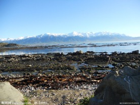 湖岸景色