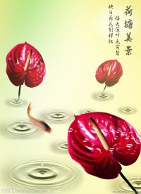 荷塘美景