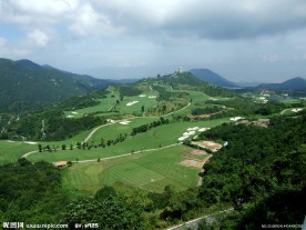 绿油油的山