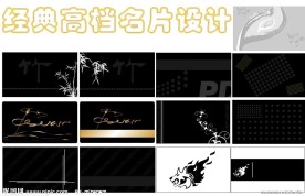 经典名片模版设计