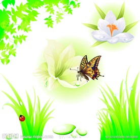 绿色背景矢量素材