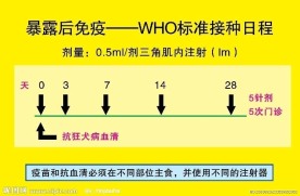 狂犬病 暴露前免疫