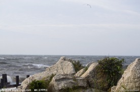 海岸岩石