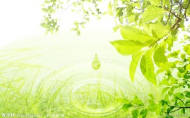 绿色 自然 水滴 树叶 清水