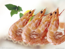 烘干虾